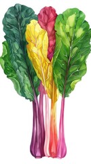 Naklejka premium Vibrant and of a Variety of Colorful Leafy Greens and Vegetables Including Chard Kale and Spinach Representing Healthy Cooking Salad Ingredients Nutrition and Eco Friendly Agriculture