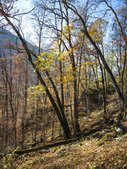 Obraz premium Autumn landscape of Rila Mountain, Bulgaria