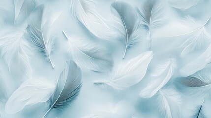 Fototapeta premium A delicate pattern of feather quills in shades of soft gray and white, 