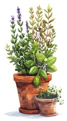 Fototapeta premium Assorted aromatic herbs like lavender basil thyme rosemary and mint growing in terracotta pots on a wooden table This still life scene represents a cozy natural