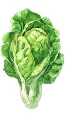 Fototapeta premium Close up view of a freshly harvested vibrant green leafy vegetable in an agricultural setting highlighting the nutrition health benefits and natural cultivation of organic produce