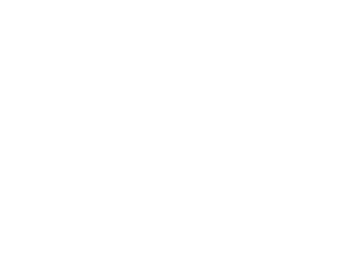 Organic forms with dynamic wave and line. Design template for flyer, social media, banner