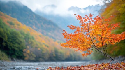 Obraz premium The autumn landscape is a beautiful sight to behold, with trees bursting with fiery hues of red, orange, and yellow leaves that create a stunning contrast against the deep green of evergreen trees