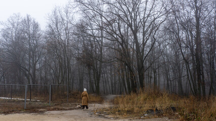 A woman and her dog walk through a forest on a foggy day