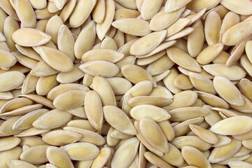 the texture or background of fruit seeds fills the frame