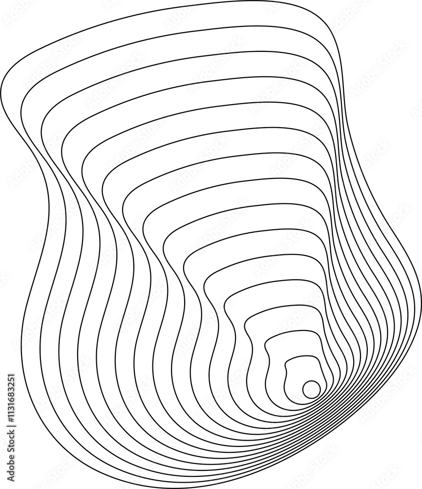 Poster dynamic lines fluid forms. modern design elements