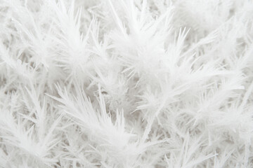 Obraz premium frost texture on leaves in a snow white field