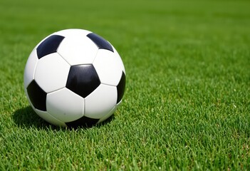 Fototapeta premium soccer ball on green grass