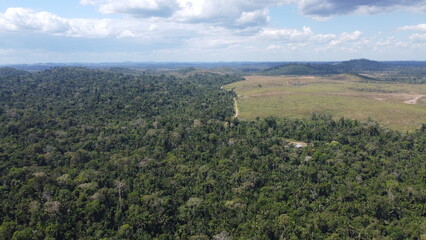 Fototapeta premium Amazônia Floresta Amazônica e Pastagem Pecuária Degradação
