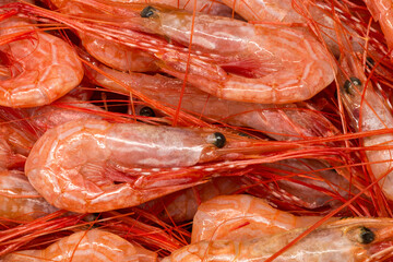 Close-Up Image of Fresh Raw Shrimps