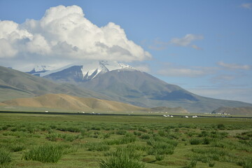 Fototapeta premium A local nomadic family's summer pasture in Altai Tsambagarav mountains in Western Mongolia