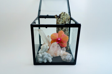 Floral and Crystal Display in Artistic Box