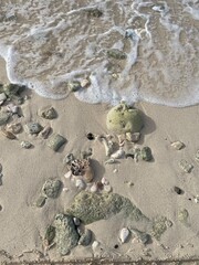 sand beach and sea with rocks
