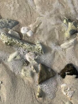Rocks and sea corals washed up on a sandy beach
