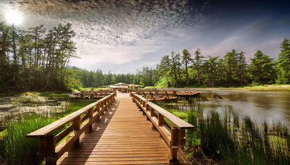 Fototapeta premium A scenic boardwalk leading to a peaceful lake surrounded by lush greenery and towering trees