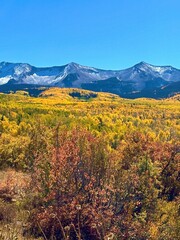 Vibrant Autumn Foliage, Aspen Trees in the Mountains