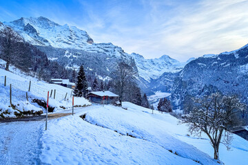 Fototapeta premium Scenic view of Lauterbrunnen Valley, Switzerland with snowcovered mountains Breithorn (middle) and Jungfrau (left) in winter against blue sky with clouds seen from Wengen