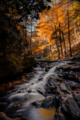 Colorful autumn creek falls in the Forest landscape