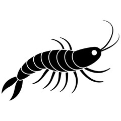 illustration of a Krill on white