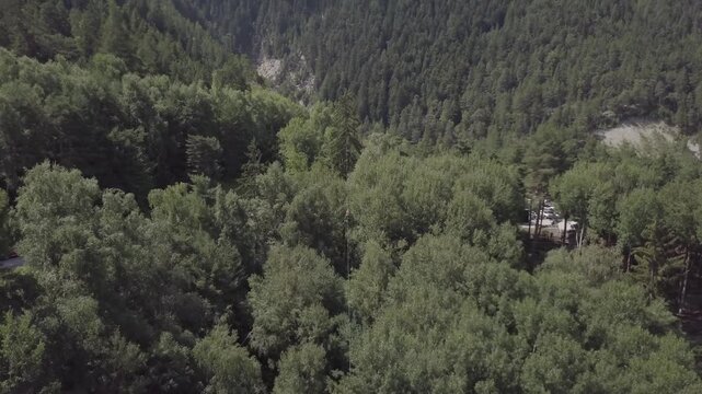 Drone Accrobranche