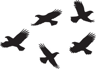Obraz premium Silhouettes of birds vector silhouette