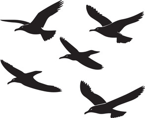 Fototapeta premium Silhouette of a flock of seagulls flying in the sky vector silhouette