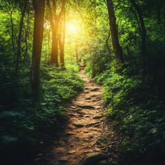 Fototapeta premium Serene Forest Pathway with Sunlight Filtering Through Lush Green Trees in a Peaceful Natural Landscape