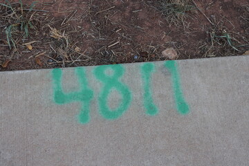 4811 Written on Pavement