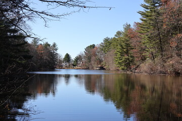 Lake and Trees in Connecticut, October 2024