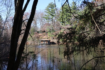 Lake and Trees in Connecticut, October 2024