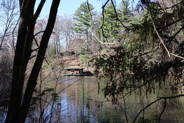 Lake and Trees in Connecticut, October 2024