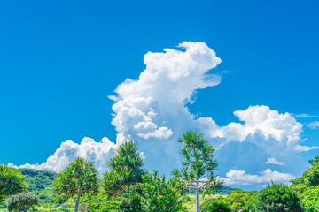 入道雲