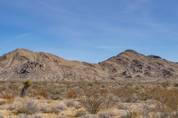 Mojave National Preserve South Entrance Kelbaker Road, San Bernardino County, California. Mojave Desert / Basin and Range Province.