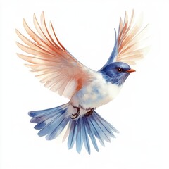 Fototapeta premium Watercolor Bird in Flight