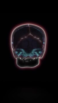 X-Ray medical brain scan loop of on black background in 4K resolution
