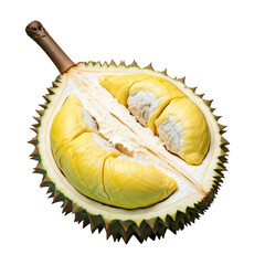 Fototapeta premium Durian fruit with cut in half (Peeled Durian) , Tropical King of Fruits . dicut PNG background. 