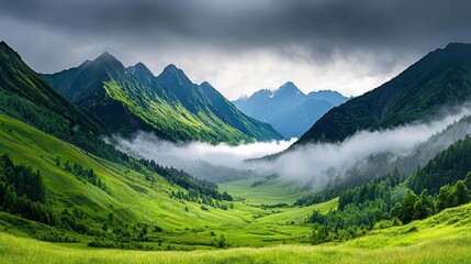 Fototapeta premium Foggy valley surrounded by lush mountains, moisture evaporation, dramatic scenery