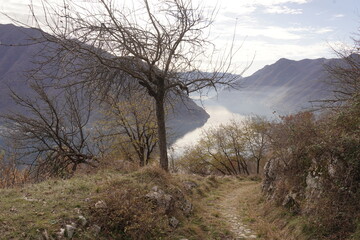 View of Lake Como from the ancient path that goes from the village of Sala Comacina to the mountain pastures of Alpe di Sala. Italy 