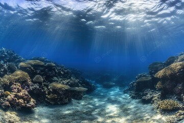 Obraz premium Underwater scene showcasing coral reefs and sunlight rays.