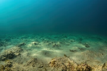 Obraz premium Underwater scene with sandy floor and sparse vegetation.