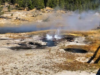 Young Hopeful Geyser on Firehole Lake in Lower Geyser Basin, Yellowstone National Park in Wyoming.