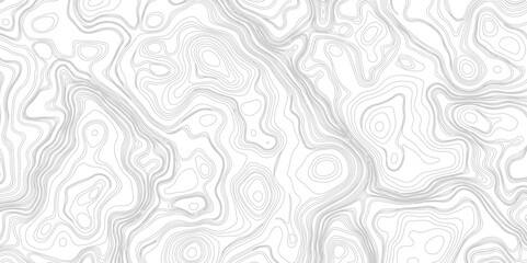 Fototapeta premium Abstract Topographic Contour Line Pattern in Black and White, White background topography contour map with black curve lines.