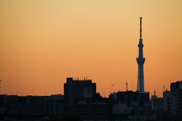 Obraz premium 東京の夕暮れ