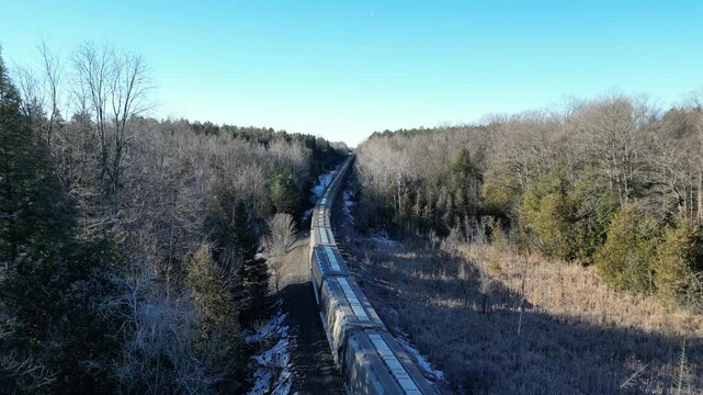 Canadian freight train moving slowly through the forest with shadow effects - Train de fret canadien avan&ccedil;ant lentement dans la for&ecirc;t avec des effets d'ombres