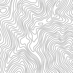 Fototapeta premium Topography Backgrounds Web graphics.Topographic map material for designing nature, mountain climbing, camping, etc.