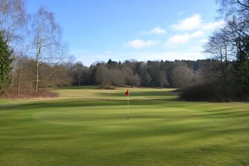 Serene Golf Course in Winter Sun; Lush Green Fairway and Scenic Landscape