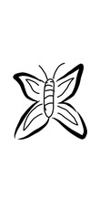 Fototapeta premium hand drawn vector illustration of a butterfly