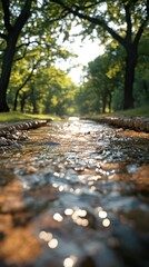 Fototapeta premium Sunlit stream flowing through a park, shallow depth of field.