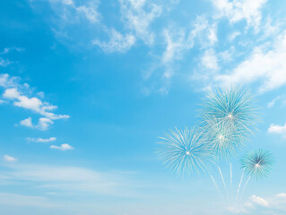Obraz premium Fireworks Display