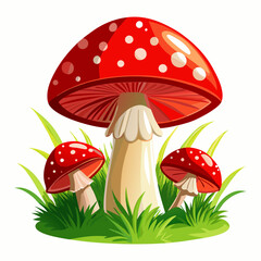 Mushroom Vector White Background